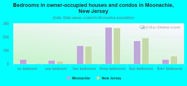 Bedrooms in owner-occupied houses and condos in Moonachie, New Jersey