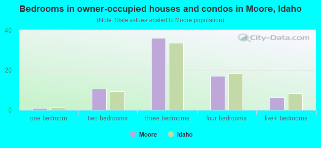 Bedrooms in owner-occupied houses and condos in Moore, Idaho