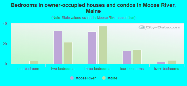 Bedrooms in owner-occupied houses and condos in Moose River, Maine