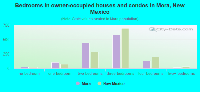 Bedrooms in owner-occupied houses and condos in Mora, New Mexico