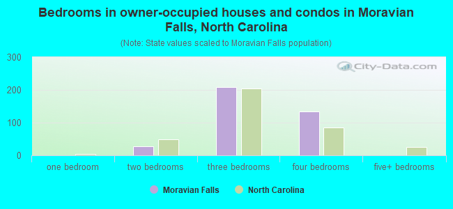Bedrooms in owner-occupied houses and condos in Moravian Falls, North Carolina