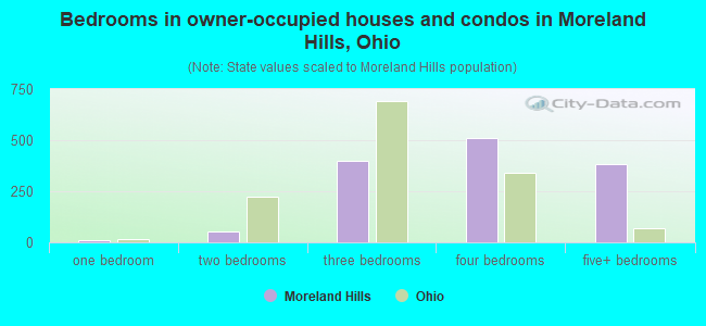Bedrooms in owner-occupied houses and condos in Moreland Hills, Ohio