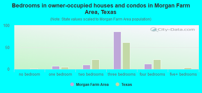 Bedrooms in owner-occupied houses and condos in Morgan Farm Area, Texas