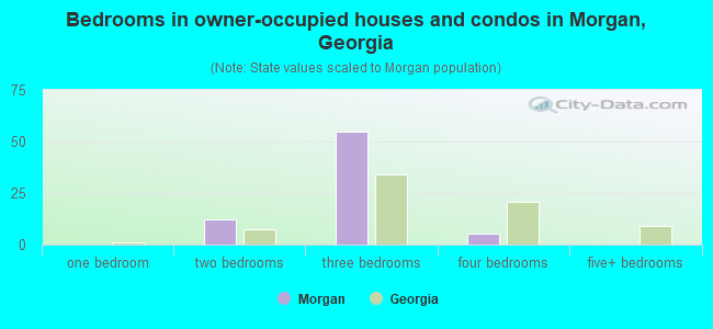 Bedrooms in owner-occupied houses and condos in Morgan, Georgia