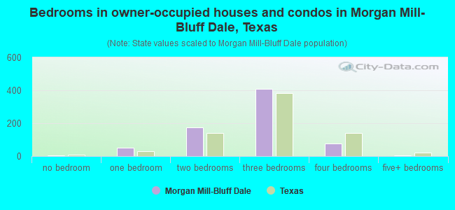 Bedrooms in owner-occupied houses and condos in Morgan Mill-Bluff Dale, Texas