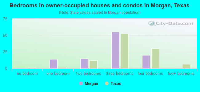 Bedrooms in owner-occupied houses and condos in Morgan, Texas