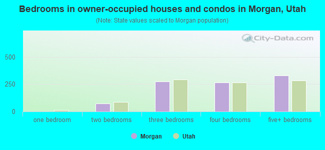 Bedrooms in owner-occupied houses and condos in Morgan, Utah