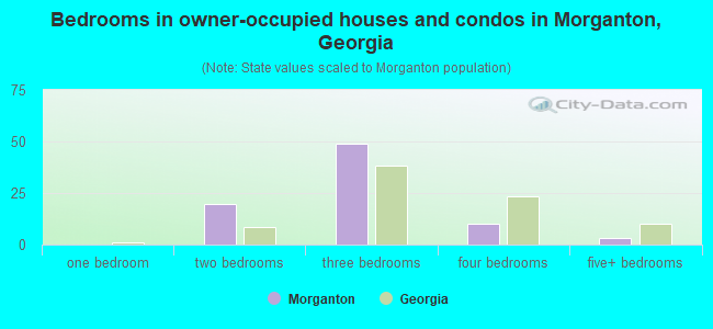 Bedrooms in owner-occupied houses and condos in Morganton, Georgia