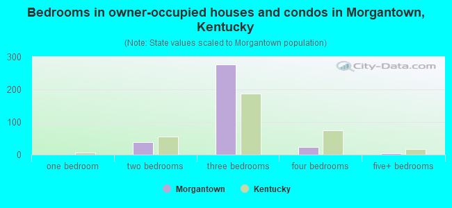 Bedrooms in owner-occupied houses and condos in Morgantown, Kentucky