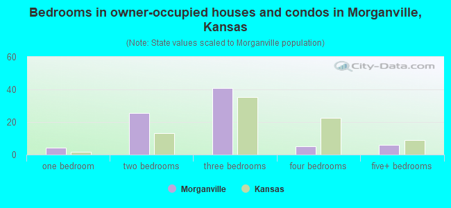 Bedrooms in owner-occupied houses and condos in Morganville, Kansas