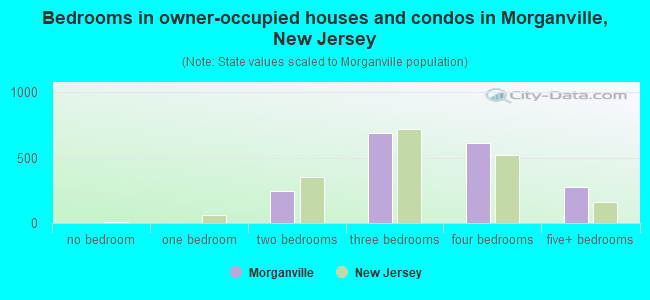 Bedrooms in owner-occupied houses and condos in Morganville, New Jersey