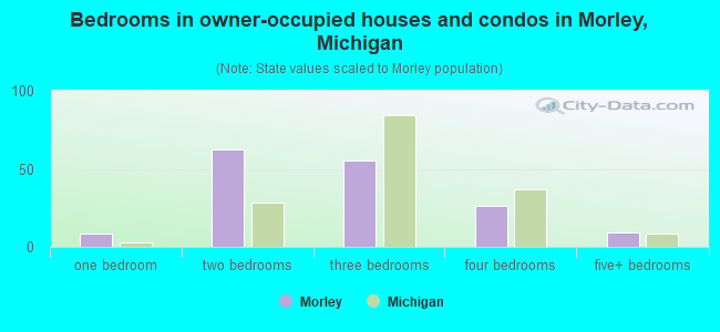 Bedrooms in owner-occupied houses and condos in Morley, Michigan