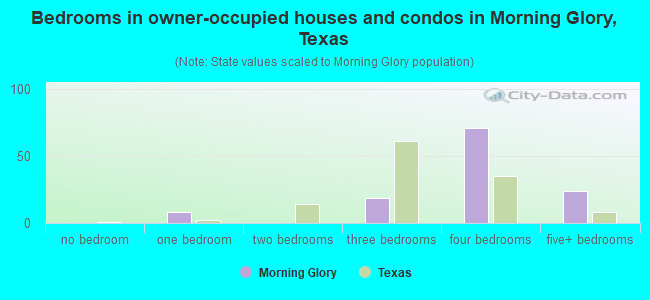 Bedrooms in owner-occupied houses and condos in Morning Glory, Texas
