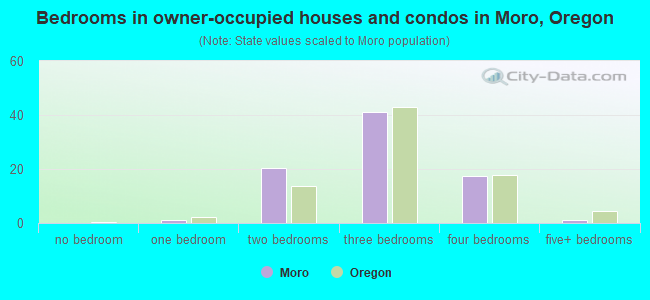 Bedrooms in owner-occupied houses and condos in Moro, Oregon