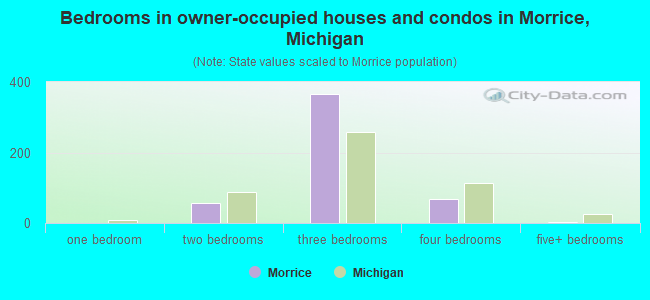 Bedrooms in owner-occupied houses and condos in Morrice, Michigan