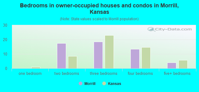 Bedrooms in owner-occupied houses and condos in Morrill, Kansas