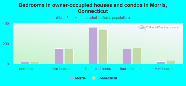 Bedrooms in owner-occupied houses and condos in Morris, Connecticut