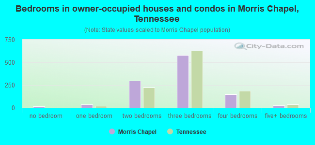 Bedrooms in owner-occupied houses and condos in Morris Chapel, Tennessee