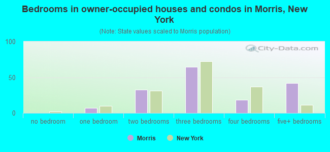 Bedrooms in owner-occupied houses and condos in Morris, New York