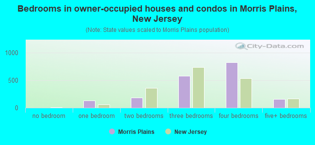 Bedrooms in owner-occupied houses and condos in Morris Plains, New Jersey