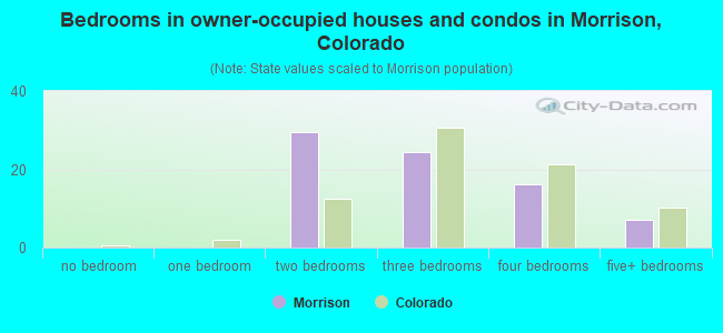 Bedrooms in owner-occupied houses and condos in Morrison, Colorado