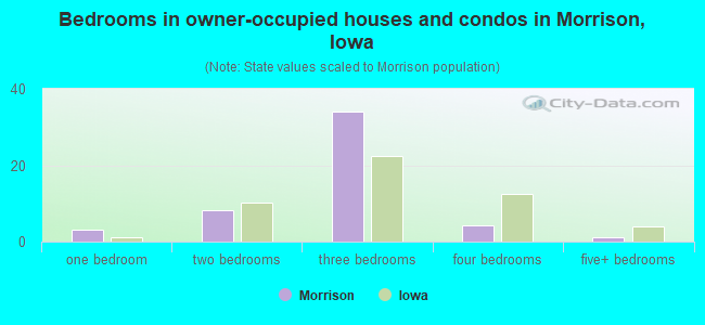 Bedrooms in owner-occupied houses and condos in Morrison, Iowa