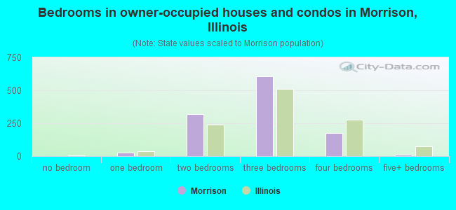 Bedrooms in owner-occupied houses and condos in Morrison, Illinois