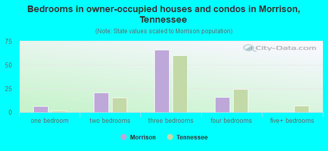 Bedrooms in owner-occupied houses and condos in Morrison, Tennessee