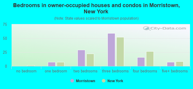 Bedrooms in owner-occupied houses and condos in Morristown, New York