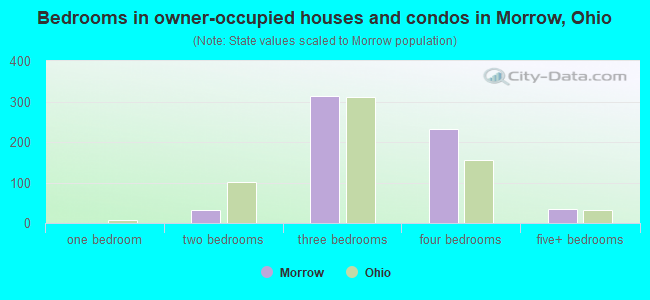 Bedrooms in owner-occupied houses and condos in Morrow, Ohio