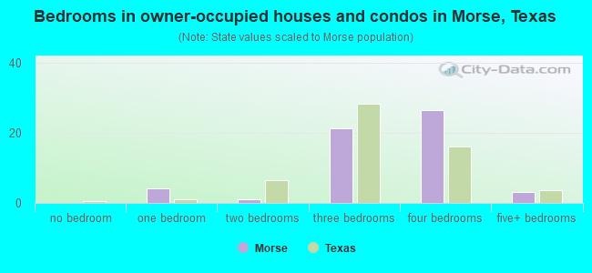 Bedrooms in owner-occupied houses and condos in Morse, Texas