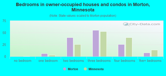 Bedrooms in owner-occupied houses and condos in Morton, Minnesota