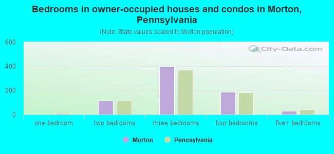 Bedrooms in owner-occupied houses and condos in Morton, Pennsylvania