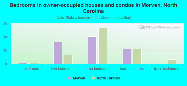 Bedrooms in owner-occupied houses and condos in Morven, North Carolina