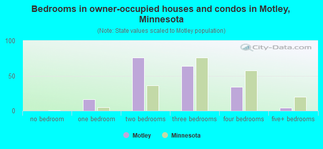 Bedrooms in owner-occupied houses and condos in Motley, Minnesota