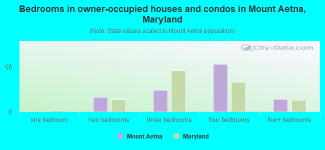 Bedrooms in owner-occupied houses and condos in Mount Aetna, Maryland