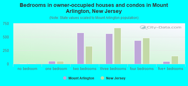 Bedrooms in owner-occupied houses and condos in Mount Arlington, New Jersey