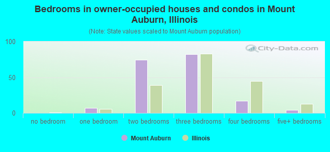 Bedrooms in owner-occupied houses and condos in Mount Auburn, Illinois