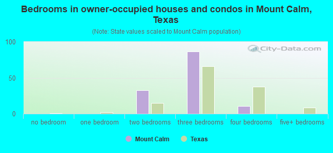 Bedrooms in owner-occupied houses and condos in Mount Calm, Texas