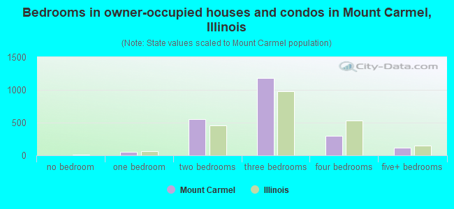 Bedrooms in owner-occupied houses and condos in Mount Carmel, Illinois