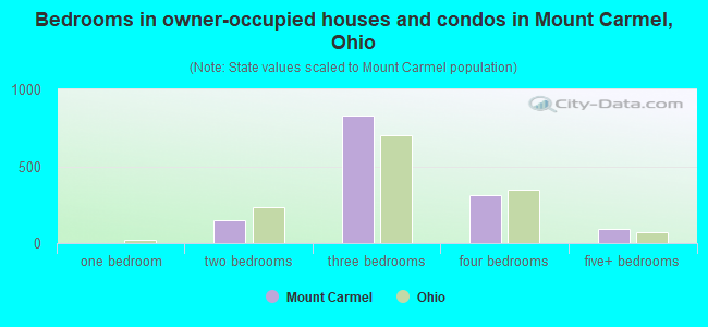 Bedrooms in owner-occupied houses and condos in Mount Carmel, Ohio