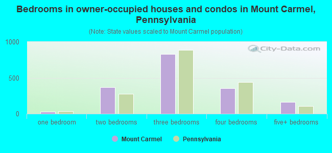 Bedrooms in owner-occupied houses and condos in Mount Carmel, Pennsylvania