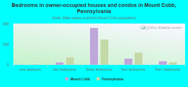 Bedrooms in owner-occupied houses and condos in Mount Cobb, Pennsylvania