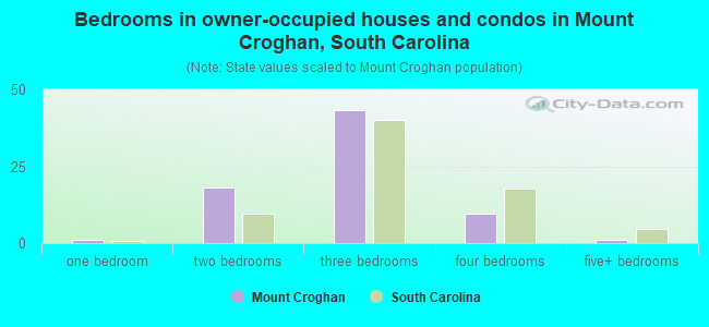 Bedrooms in owner-occupied houses and condos in Mount Croghan, South Carolina