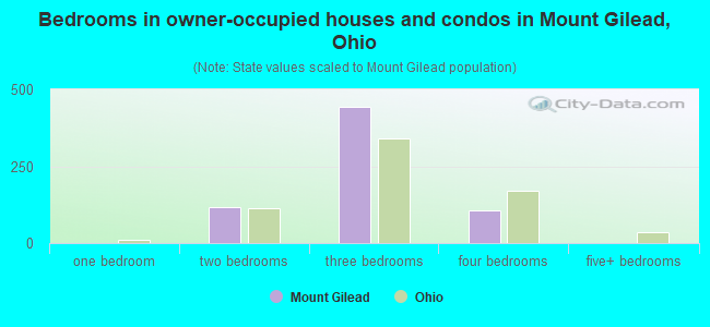 Bedrooms in owner-occupied houses and condos in Mount Gilead, Ohio