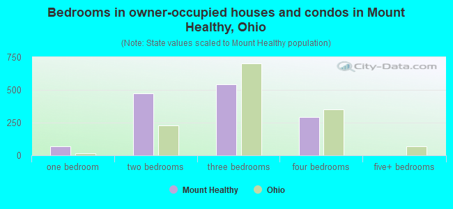 Bedrooms in owner-occupied houses and condos in Mount Healthy, Ohio