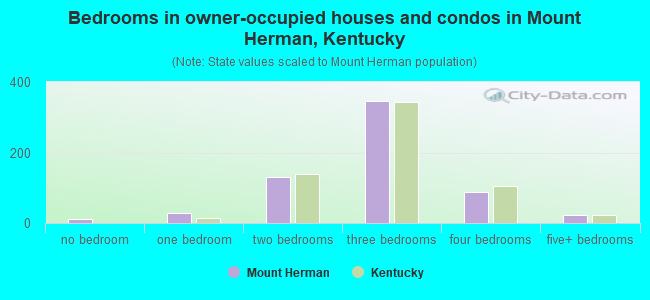 Bedrooms in owner-occupied houses and condos in Mount Herman, Kentucky