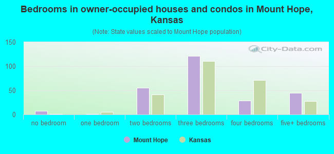 Bedrooms in owner-occupied houses and condos in Mount Hope, Kansas