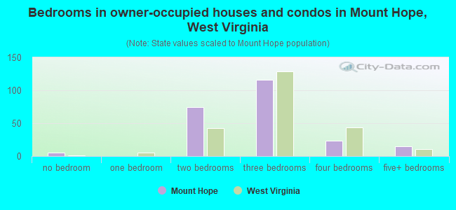 Bedrooms in owner-occupied houses and condos in Mount Hope, West Virginia