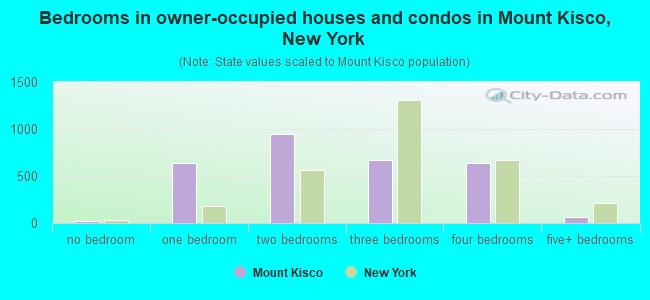 Bedrooms in owner-occupied houses and condos in Mount Kisco, New York